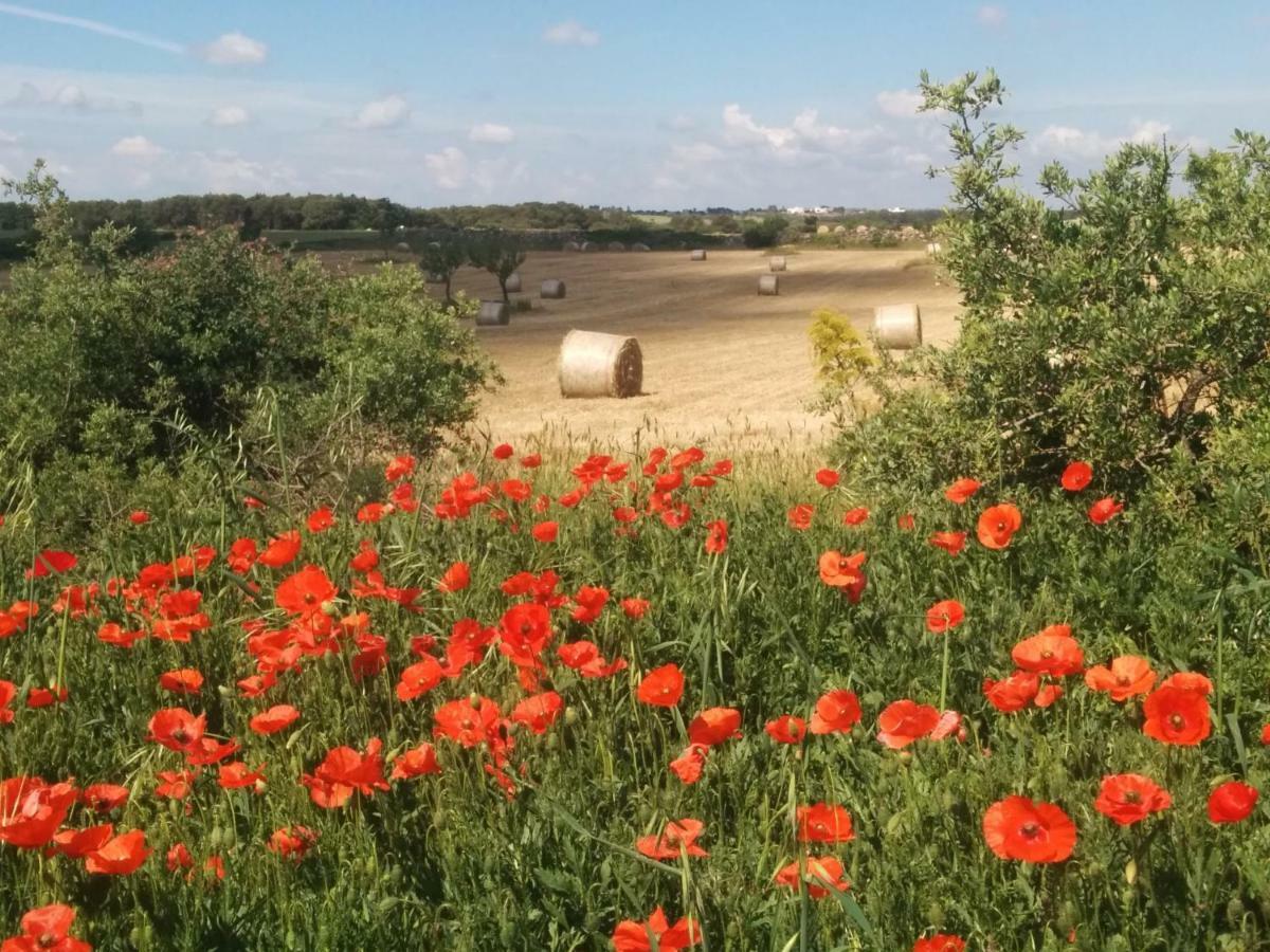 קסטלנטה Villa 2 Fields מראה חיצוני תמונה